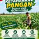 Polsek Soko Polresta Tuban Turun Langsung Cek Tanaman Jagung Warga