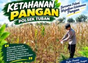 Polsek Tuban Dukung Ketahanan Pangan melalui Sambang dan Monitoring Lahan Pertanian
