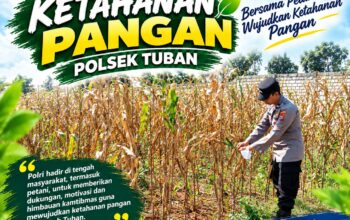 Polsek Tuban Dukung Ketahanan Pangan melalui Sambang dan Monitoring Lahan Pertanian