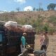 Bhabinkamtibmas Rababaka Ajak Petani Sisihkan Hasil Panen Bawang untuk Dukung Ketahanan Pangan