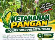 Dukung Ketahanan Pangan, Polsek Bangilan Monitoring Tanaman Jagung