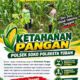 Dukung Ketahanan Pangan, Polsek Bangilan Monitoring Tanaman Jagung