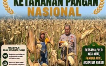 Personel Polsek Bancar Pantau Panen Jagung Warga di Desa Tergambang Tuban