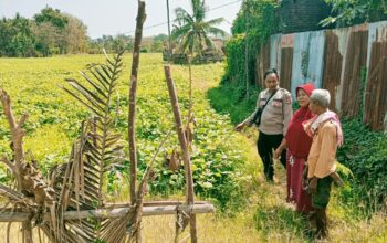Dukung Ketahanan Pangan Asta Cita Presiden, Bhabinkamtibmas Desa Ngeru Sambangi Lahan Petani dan Ajak Budidaya Hortikultura