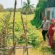 Dukung Ketahanan Pangan Asta Cita Presiden, Bhabinkamtibmas Desa Ngeru Sambangi Lahan Petani dan Ajak Budidaya Hortikultura