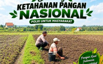 Anggota Polsek Singgahan Polresta Tuban Turun Cek Tanaman jagung Warga di Desa Mergosari