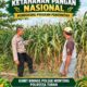 Mendukung Asta Cita Presiden Polmas Polsek Montong Polresta Tuban Pantau Kodisi Tanaman Jagung Milik Warga Desa Jetak