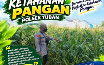 Polsek Tuban Dukung Ketahanan Pangan melalui Sambang dan Monitoring Tanaman Jagung
