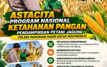 Polsek Parengan Polresta Tuban Pantau Lahan Jagung Warga Desa Ngawun Dukung Program Astacita