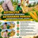 Polsek Parengan Polresta Tuban Pantau Lahan Jagung Warga Desa Ngawun Dukung Program Astacita