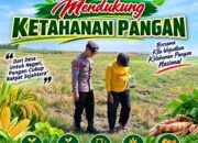 Anggota Bhabinkamtimas Polsek Senori Polres Tuban Polda Jatim Menanam Jagung Bersama Warga Desa Leran