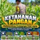 Mendukung Program Ketahanan Pangan, Bhabinkamtibmas Monitoring Pertumbuhan Jagung