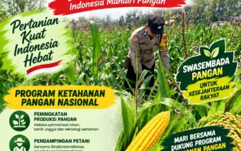 Kawal Swasembada Pangan, Polsek Jatirogo Pantau Langsung Tanaman Jagung di Paseyan
