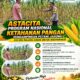 Dukung Astacita, Polsek Palang Polresta Tuban Pantau Langsung Lahan Jagung milik warga Desa Dawung
