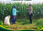 “BHABINKAMTIBMAS DESA SUMBERARUM PANTAU PERTUMBUHAN TANAMAN JAGUNG DI DESA BINAAN”
