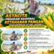 Dukung Astacita, Polsek Palang Polresta Tuban Pantau Langsung Lahan Jagung milik warga Desa Dawung