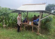 Dukung Ketahanan Pangan, Bhabinkamtibmas Polsek Tambakboyo Monitoring Lahan Jagung dan Dialog Bersama Petani