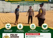 “POLSEK KEREK POLRESTA TUBAN SAMBANG KE GUDANG PENGERINGAN DAN PENYIMPANAN JAGUNG”