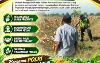 Polri Dukung Astacita, Polsek Rengel Polresta Tuban Turun Cek Tanaman Jagung Warga di Desa Rengel