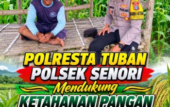 Bhabinkamtibmas Polsek Senori Polresta Tuban Lakukan Pemantauan Tanaman Jagung Warga Desa Wanglukulon Program Ketahanan Pangan