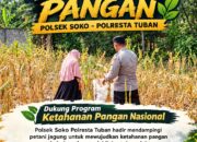 Polsek Soko Polresta Tuban Turun Langsung Cek Tanaman Jagung Warga