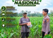 Anggota Polsek Singgahan Polresta Tuban Turun Cek Tanaman jagung Warga di Desa Mulyoagung