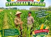 Bhabinkamtibmas Polsek Senori Polresta Tuban Pantau Tanaman Jagung Warga Desa Jatisari Guna Dukung Ketahanan Pangan Nasional