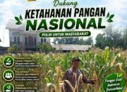 Polri Dukung Astacita, Polsek Rengel Polresta Tuban Turun Cek Tanaman Jagung Warga di Desa Sawahan