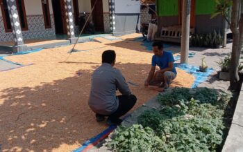 ANGGOTA POLSEK GRABAGAN SAMBANG DESA BINAAN, PANTAU LAHAN JAGUNG DAN MEMASTIKAN SISTEM IRIGASI MASIH LANCAR