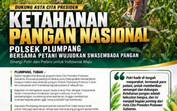 Polsek Plumpang Polresta Tuban Turun Langsung Cek Tanaman Jagung Warga