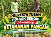 Bhabinkamtibmas Polsek Senori Polresta Tuban Lakukan Pemantauan Tanaman Jagung Warga Desa Wanglukulon Guna Mendukung Program Ketahanan Pangan