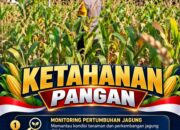 Mendukung Program Ketahanan Pangan, Bhabinkamtibmas Monitoring Pertumbuhan Jagung