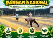 BHABINKAMTIBMAS MONITORING GUDANG PENYIMPANAN DAN PENGERINGAN JAGUNG DI DESA BINAAN
