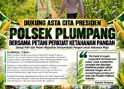 Polsek Plumpang Polresta Tuban Turun Langsung Cek Tanaman Jagung Warga