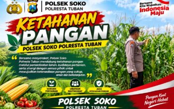 Polsek Soko Polresta Tuban Turun Langsung Cek Tanaman Jagung Warga