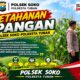Polsek Soko Polresta Tuban Turun Langsung Cek Tanaman Jagung Warga