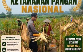 Dukung Astacita Presiden, Polsek Kenduruan Polresta Tuban Turun Langsung Bantu Petani Panen Jagung di Desa Jamprong