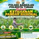 POLSEK BANGILAN DUKUNG KETAHANAN PANGAN TANAMAN JAGUNG