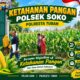 Polsek Soko Polresta Tuban Turun Langsung Cek Tanaman Jagung Warga