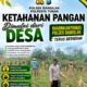 POLSEK BANGILAN DUKUNG KETAHANAN PANGAN TANAMAN JAGUNG DIWILAYAH KEC BANGILAN KAB TUBAN