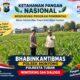 Mendukung Asta Cita Presiden bhabinkamtibmas Polsek Montong Polresta Tuban Pantau Kodisi Tanaman Jagung Milik Warga Desa pakel